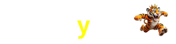7y11